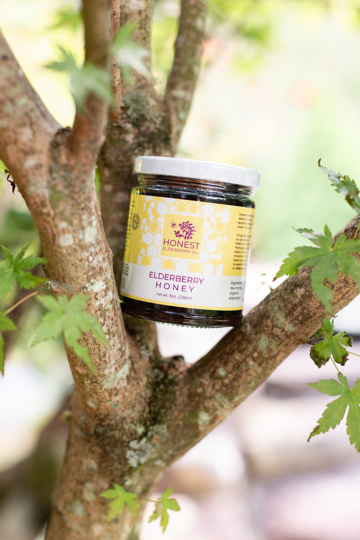 Elderberry Honey