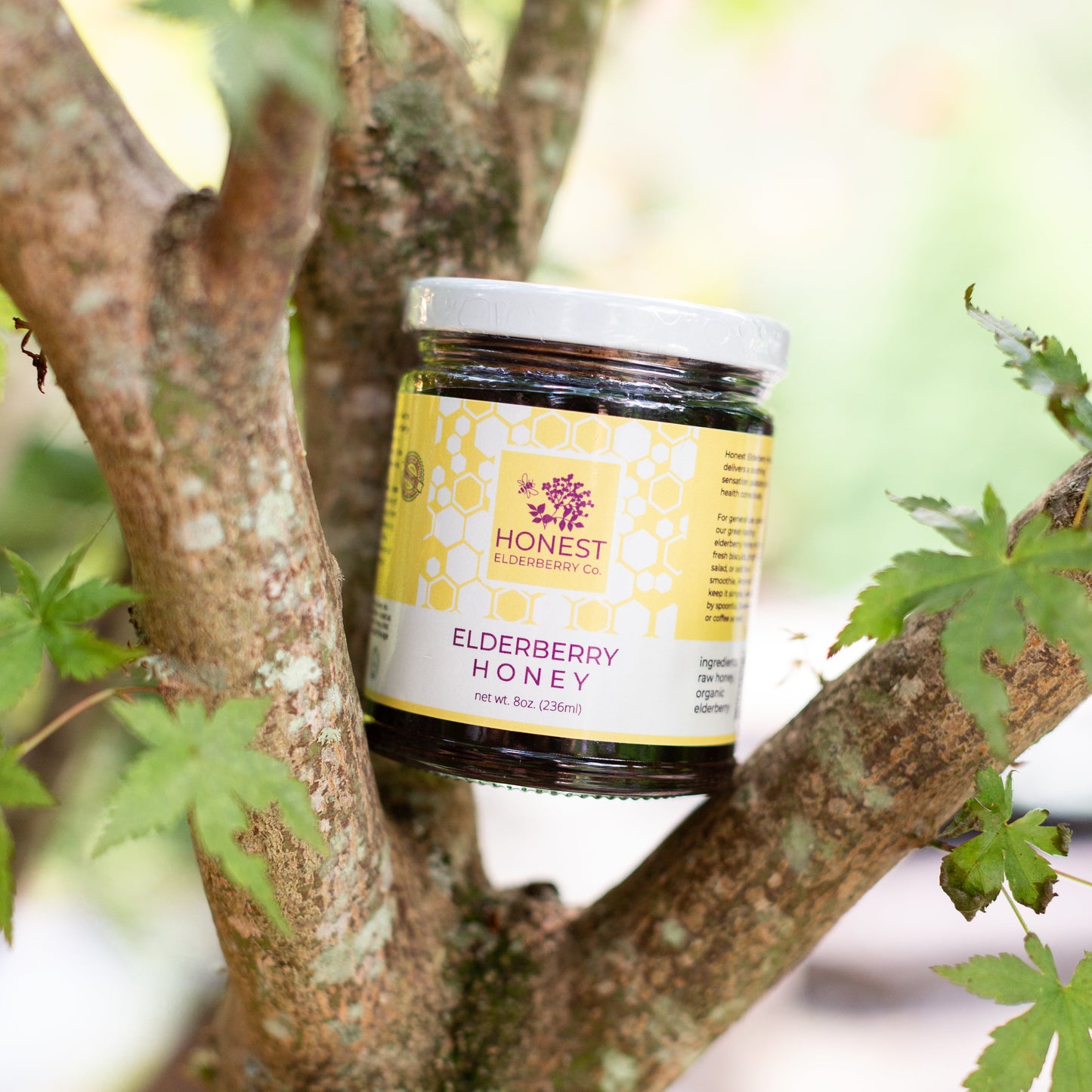 Elderberry Honey