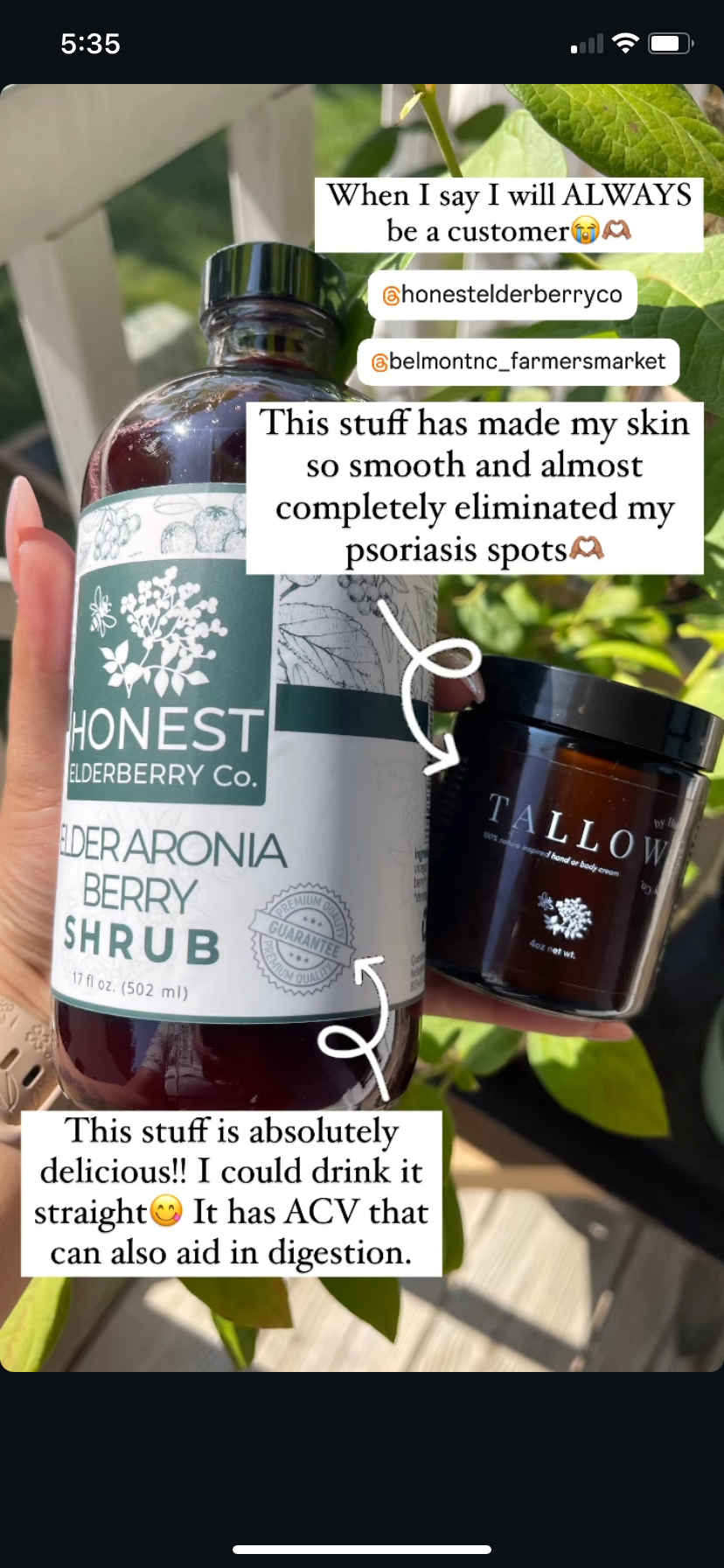 ElderAronia Berry Shrub