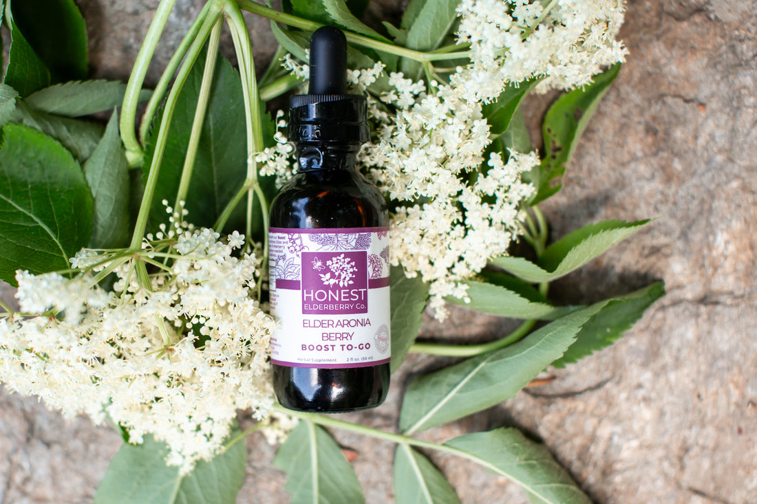 Radiant Skin: The Secret Benefits of Regular Elderberry Use