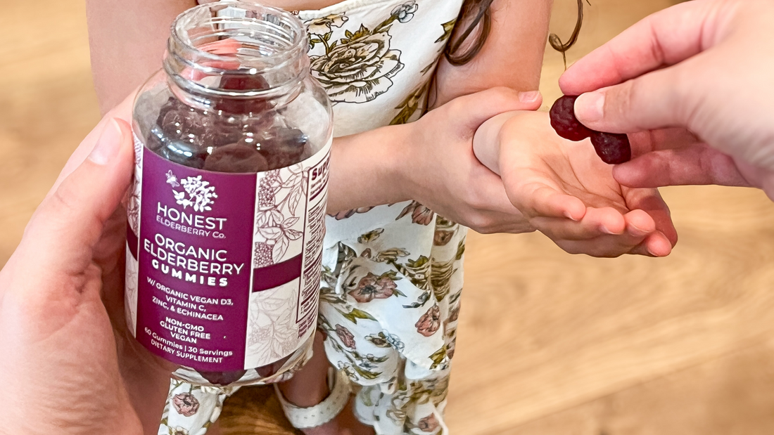 Back-to-School with Elderberry: Support Your Family's Immunity Naturally