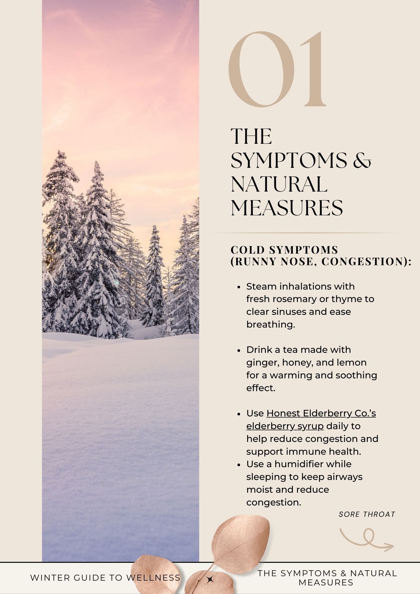 Winter guide to wellness