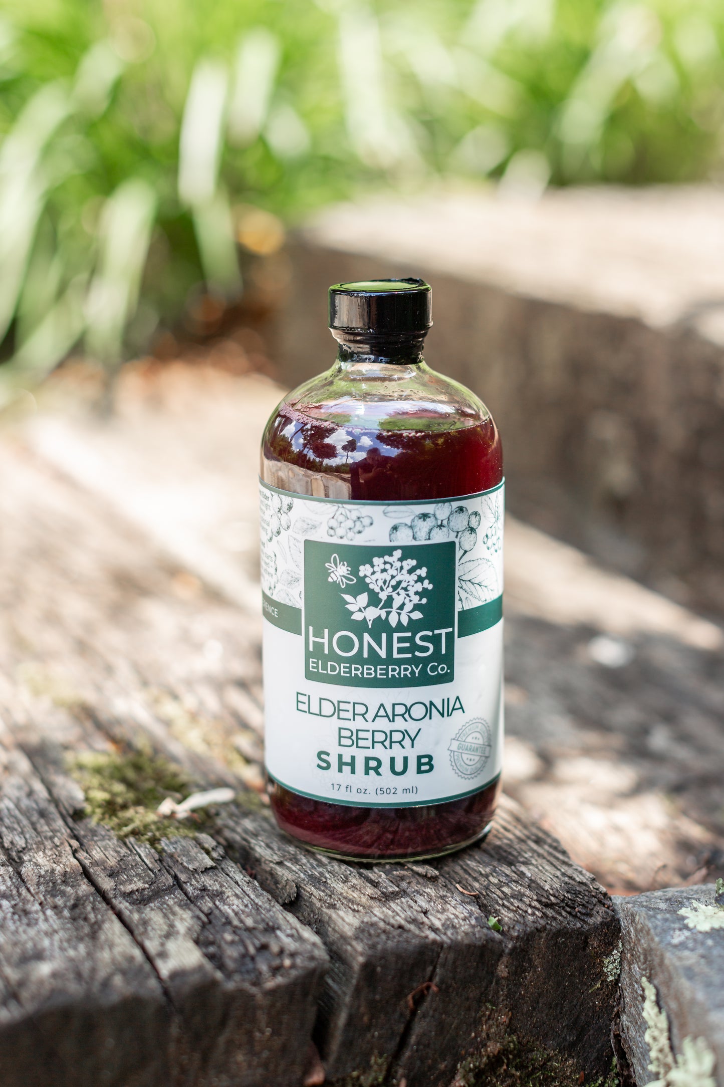 ElderAronia Berry Shrub